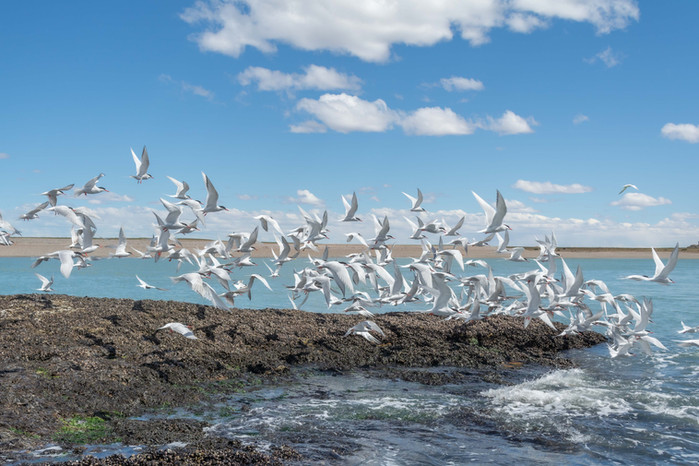 PH Pablo Godoy 3.JPG