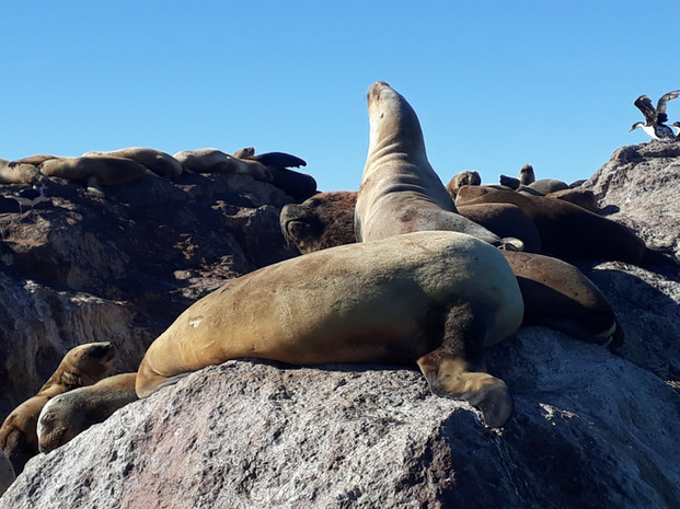 Ria Deseado Navigation (5).jpg